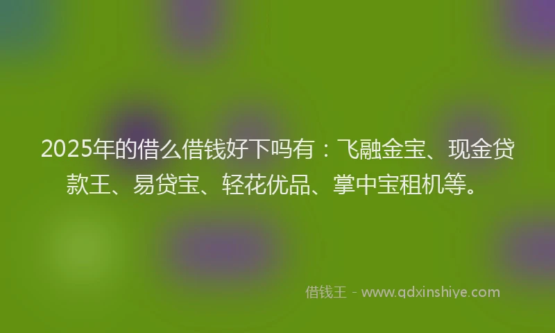 2025年的借么借钱好下吗有：飞融金宝、现金贷款王、易贷宝、轻花优品、掌中宝租机等。