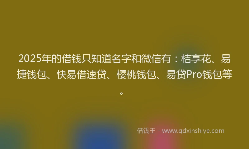 2025年的借钱只知道名字和微信有：桔享花、易捷钱包、快易借速贷、樱桃钱包、易贷Pro钱包等。