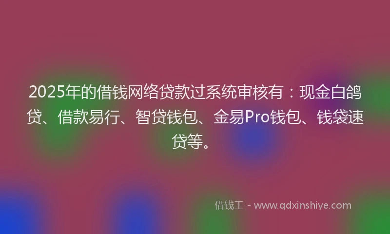 2025年的借钱网络贷款过系统审核有：现金白鸽贷、借款易行、智贷钱包、金易Pro钱包、钱袋速贷等。