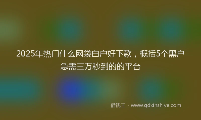 2025年热门什么网袋白户好下款，概括5个黑户急需三万秒到的的平台