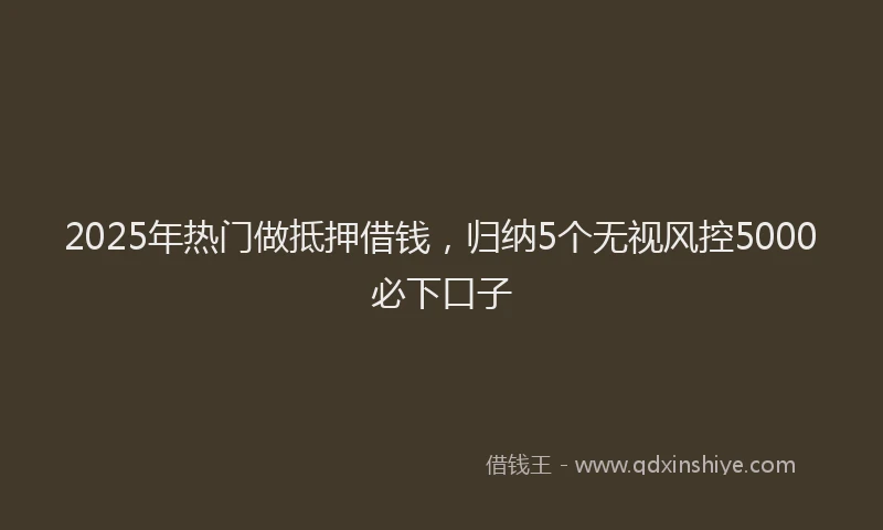 2025年热门做抵押借钱，归纳5个无视风控5000必下口子