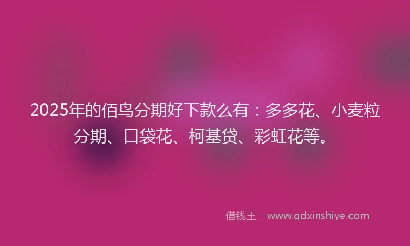 2025年的佰鸟分期好下款么有：多多花、小麦粒分期、口袋花、柯基贷、彩虹花等。