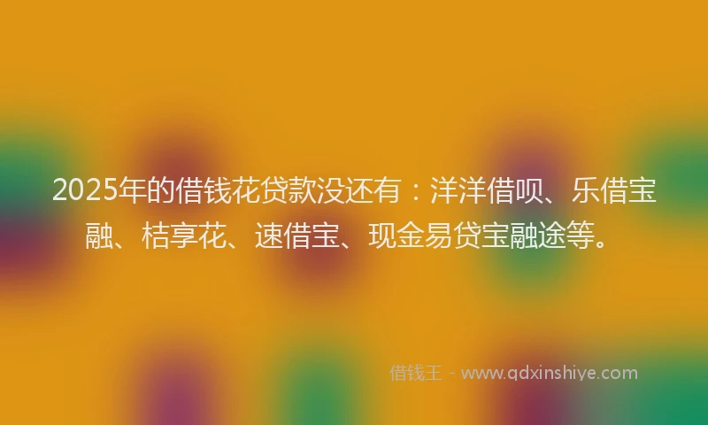 2025年的借钱花贷款没还有：洋洋借呗、乐借宝融、桔享花、速借宝、现金易贷宝融途等。