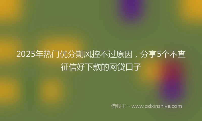 2025年热门优分期风控不过原因，分享5个不查征信好下款的网贷口子