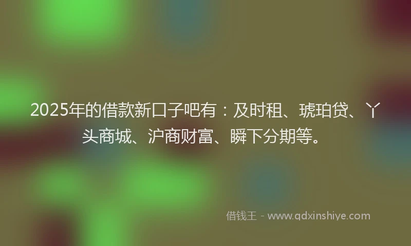 2025年的借款新口子吧有：及时租、琥珀贷、丫头商城、沪商财富、瞬下分期等。