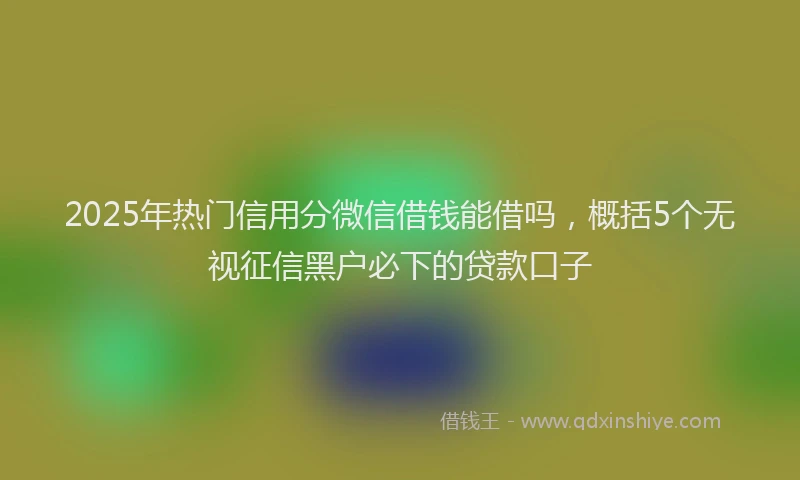 2025年热门信用分微信借钱能借吗，概括5个无视征信黑户必下的贷款口子