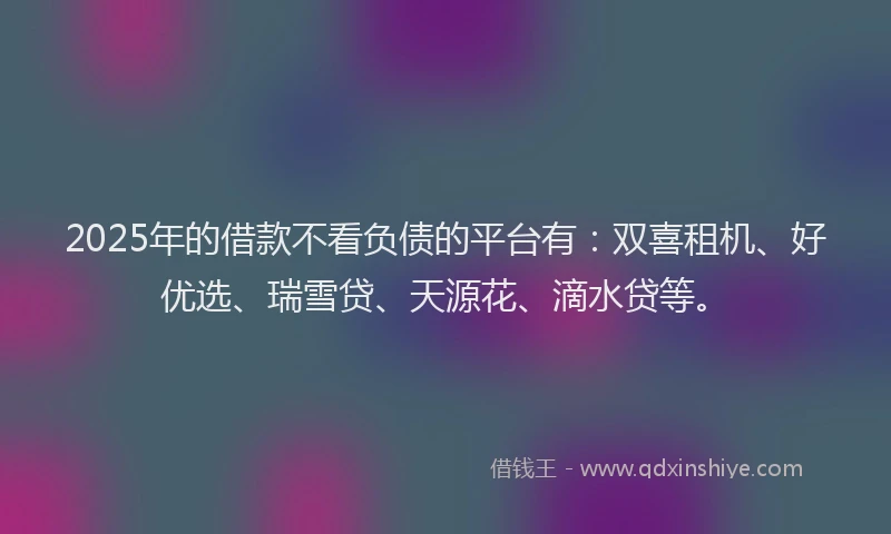 2025年的借款不看负债的平台有：双喜租机、好优选、瑞雪贷、天源花、滴水贷等。