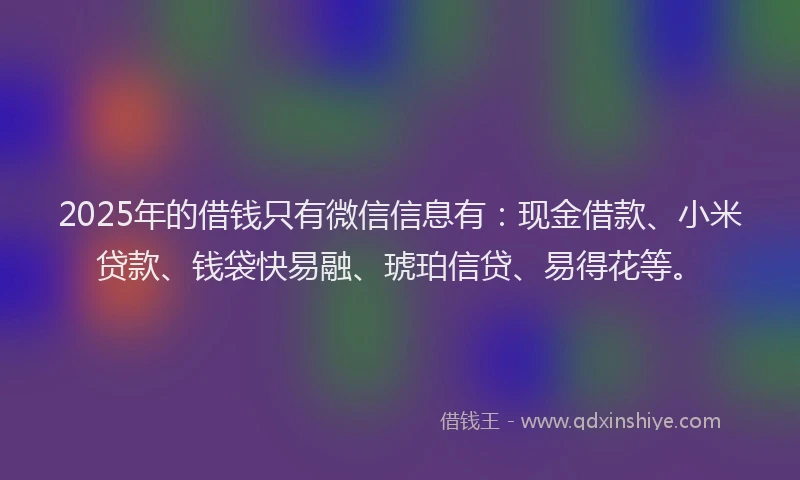 2025年的借钱只有微信信息有：现金借款、小米贷款、钱袋快易融、琥珀信贷、易得花等。