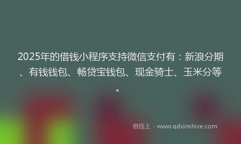 2025年的借钱小程序支持微信支付有：新浪分期、有钱钱包、畅贷宝钱包、现金骑士、玉米分等。