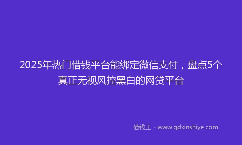 2025年热门借钱平台能绑定微信支付，盘点5个真正无视风控黑白的网贷平台