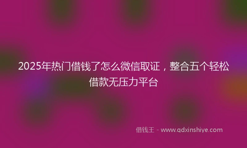 2025年热门借钱了怎么微信取证，整合五个轻松借款无压力平台