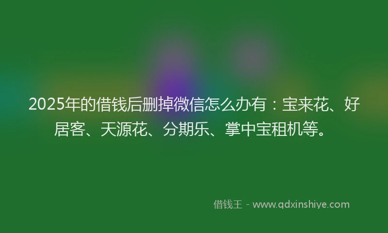 2025年的借钱后删掉微信怎么办有：宝来花、好居客、天源花、分期乐、掌中宝租机等。