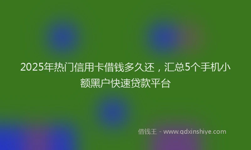 2025年热门信用卡借钱多久还，汇总5个手机小额黑户快速贷款平台
