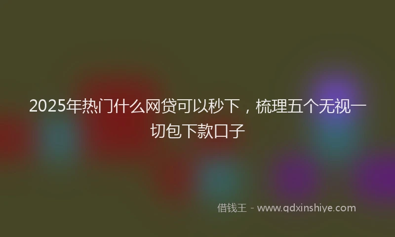 2025年热门什么网贷可以秒下，梳理五个无视一切包下款口子