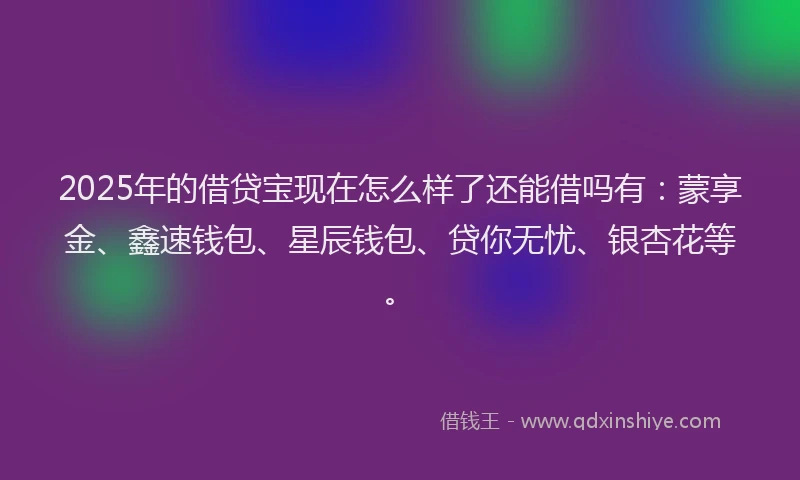 2025年的借贷宝现在怎么样了还能借吗有：蒙享金、鑫速钱包、星辰钱包、贷你无忧、银杏花等。