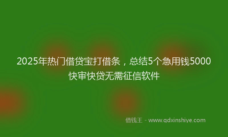 2025年热门借贷宝打借条，总结5个急用钱5000快审快贷无需征信软件