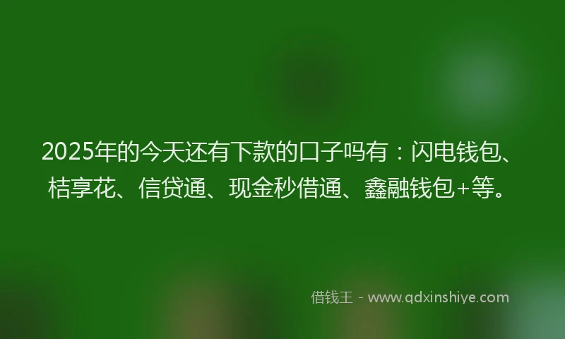 2025年的今天还有下款的口子吗有：闪电钱包、桔享花、信贷通、现金秒借通、鑫融钱包+等。