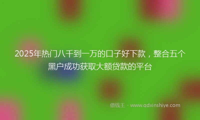 2025年热门八千到一万的口子好下款，整合五个黑户成功获取大额贷款的平台