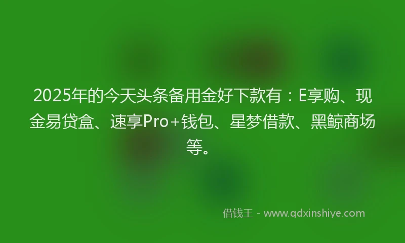 2025年的今天头条备用金好下款有：E享购、现金易贷盒、速享Pro+钱包、星梦借款、黑鲸商场等。