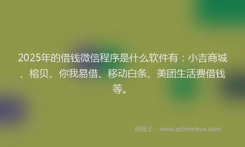 2025年的借钱微信程序是什么软件有：小吉商城、榕贝、你我易借、移动白条、美团生活费借钱等。