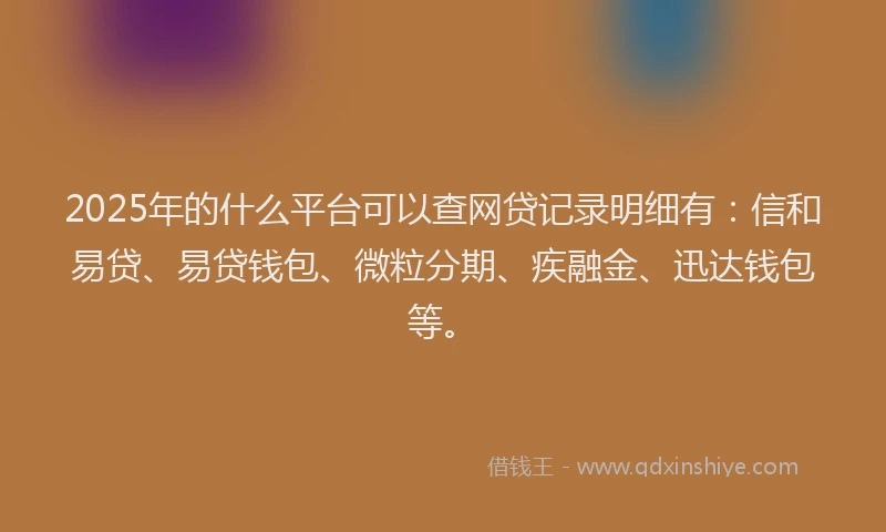 2025年的什么平台可以查网贷记录明细有：信和易贷、易贷钱包、微粒分期、疾融金、迅达钱包等。