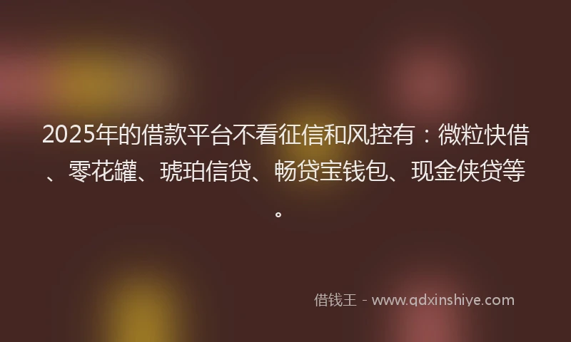 2025年的借款平台不看征信和风控有：微粒快借、零花罐、琥珀信贷、畅贷宝钱包、现金侠贷等。