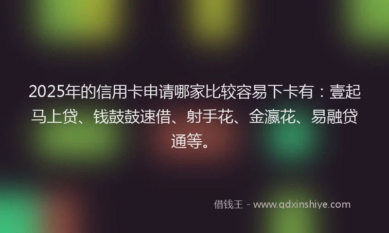 2025年的信用卡申请哪家比较容易下卡有：壹起马上贷、钱鼓鼓速借、射手花、金瀛花、易融贷通等。