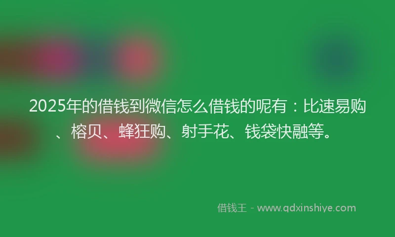 2025年的借钱到微信怎么借钱的呢有：比速易购、榕贝、蜂狂购、射手花、钱袋快融等。