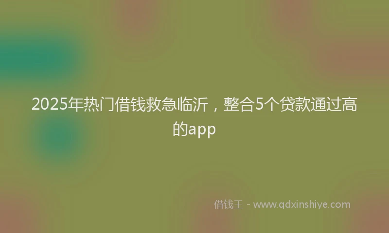 2025年热门借钱救急临沂，整合5个贷款通过高的app