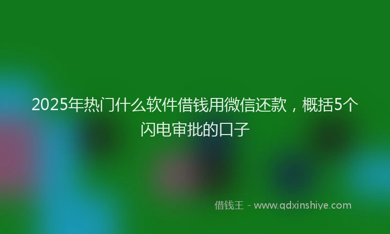 2025年热门什么软件借钱用微信还款，概括5个闪电审批的口子