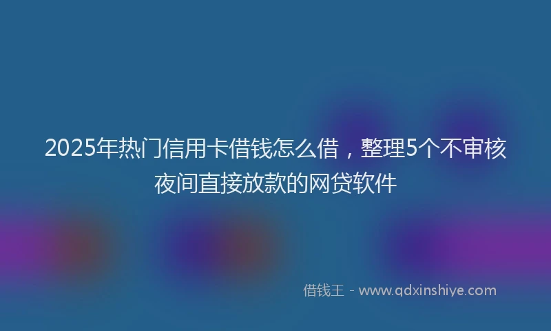 2025年热门信用卡借钱怎么借，整理5个不审核夜间直接放款的网贷软件