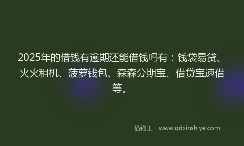 2025年的借钱有逾期还能借钱吗有：钱袋易贷、火火租机、菠萝钱包、森森分期宝、借贷宝速借等。