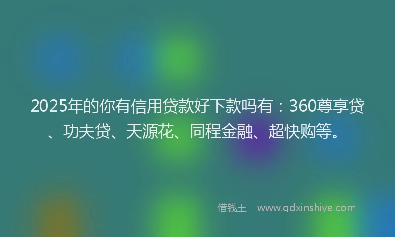 2025年的你有信用贷款好下款吗有：360尊享贷、功夫贷、天源花、同程金融、超快购等。