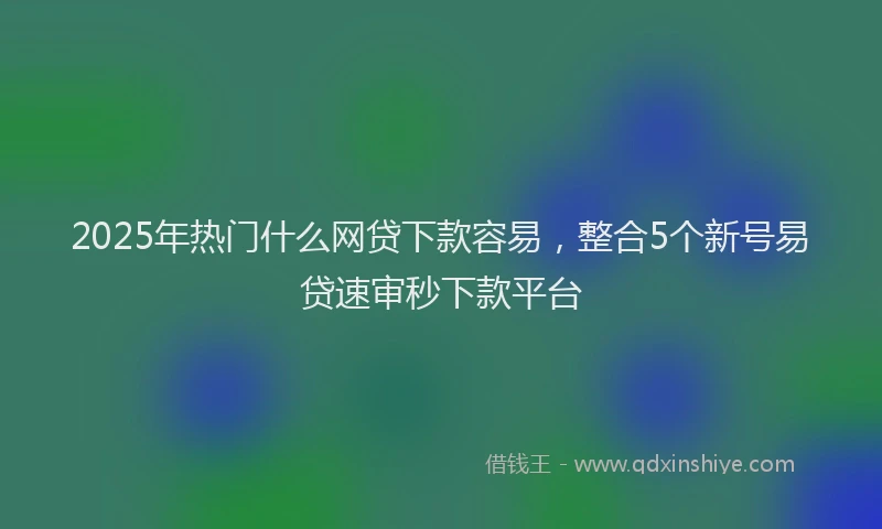 2025年热门什么网贷下款容易，整合5个新号易贷速审秒下款平台
