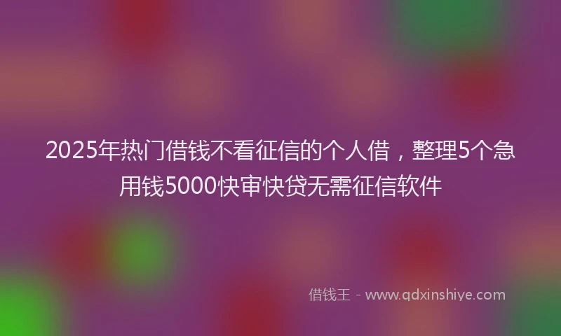 2025年热门借钱不看征信的个人借，整理5个急用钱5000快审快贷无需征信软件