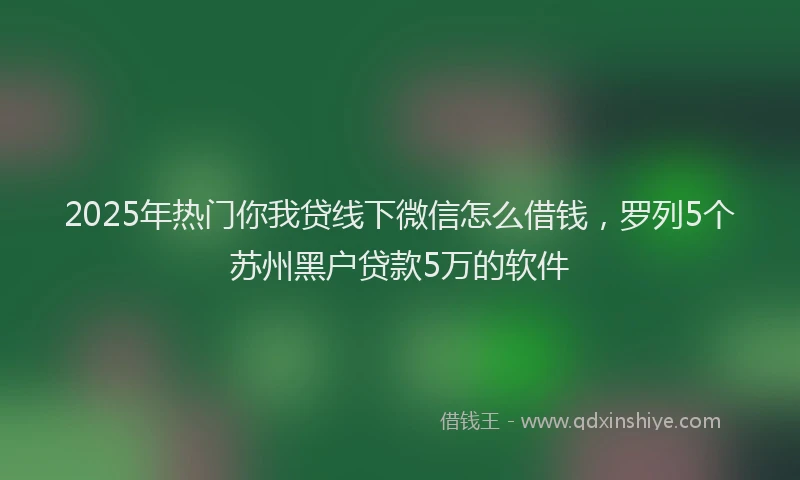 2025年热门你我贷线下微信怎么借钱，罗列5个苏州黑户贷款5万的软件