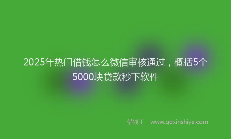 2025年热门借钱怎么微信审核通过，概括5个5000块贷款秒下软件