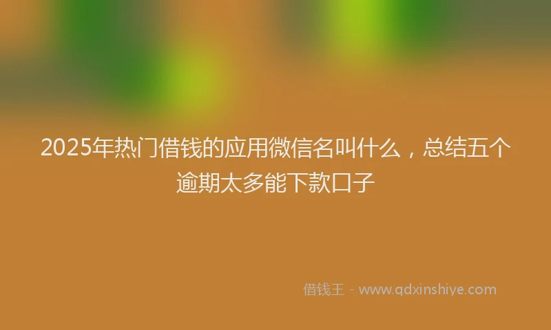 2025年热门借钱的应用微信名叫什么，总结五个逾期太多能下款口子