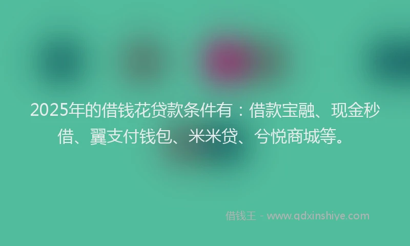 2025年的借钱花贷款条件有：借款宝融、现金秒借、翼支付钱包、米米贷、兮悦商城等。