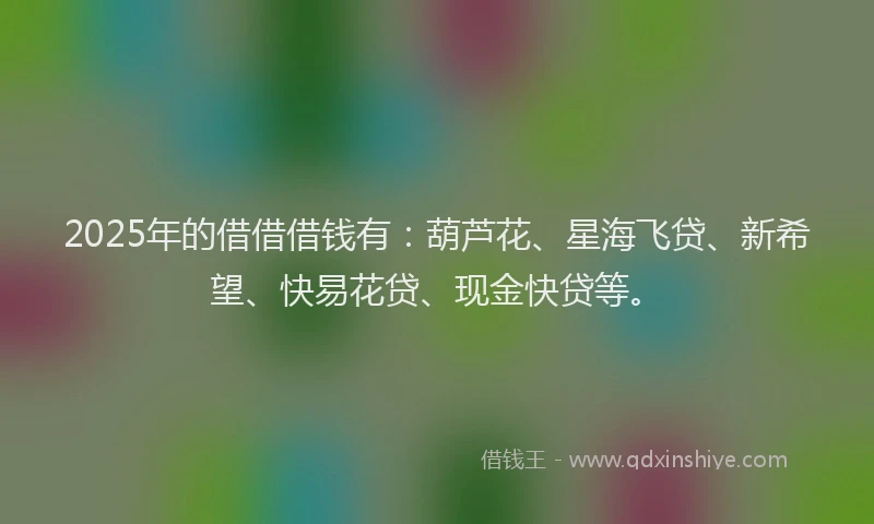 2025年的借借借钱有：葫芦花、星海飞贷、新希望、快易花贷、现金快贷等。