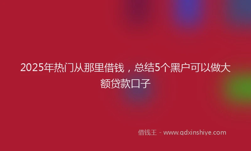 2025年热门从那里借钱，总结5个黑户可以做大额贷款口子