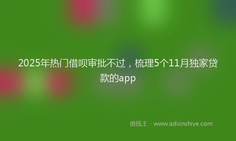 2025年热门借呗审批不过，梳理5个11月独家贷款的app
