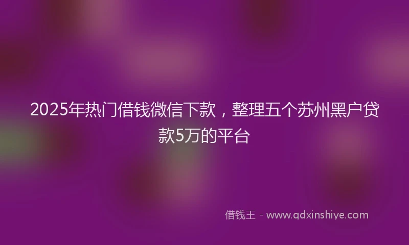 2025年热门借钱微信下款，整理五个苏州黑户贷款5万的平台