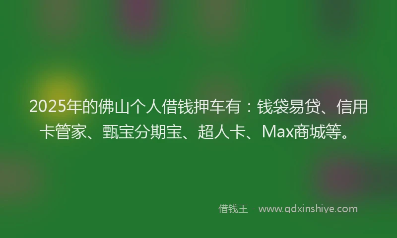 2025年的佛山个人借钱押车有：钱袋易贷、信用卡管家、甄宝分期宝、超人卡、Max商城等。