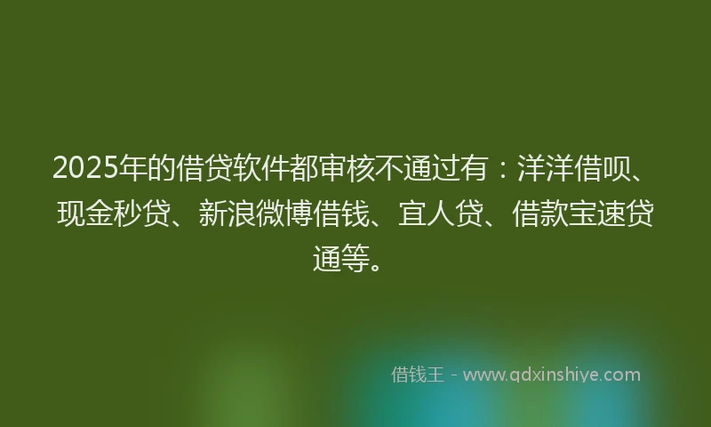 2025年的借贷软件都审核不通过有：洋洋借呗、现金秒贷、新浪微博借钱、宜人贷、借款宝速贷通等。