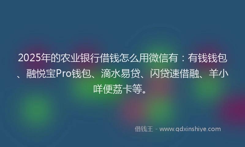 2025年的农业银行借钱怎么用微信有：有钱钱包、融悦宝Pro钱包、滴水易贷、闪贷速借融、羊小咩便荔卡等。