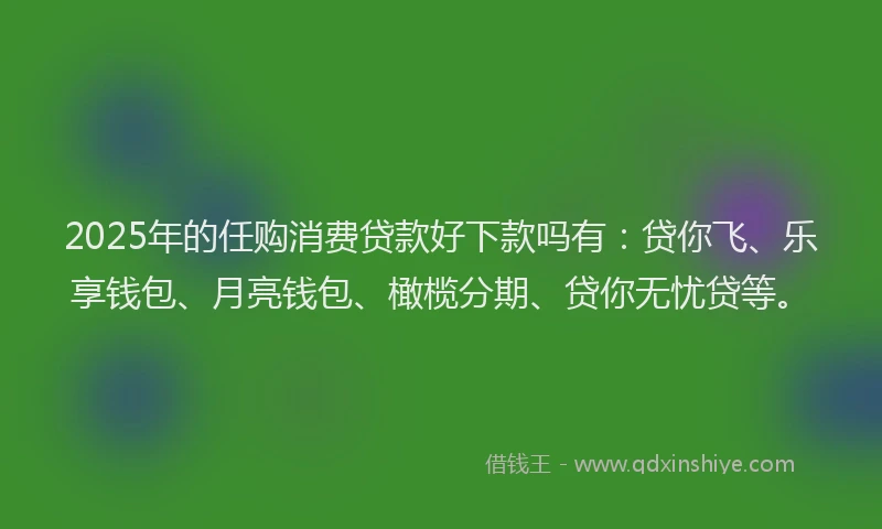 2025年的任购消费贷款好下款吗有：贷你飞、乐享钱包、月亮钱包、橄榄分期、贷你无忧贷等。
