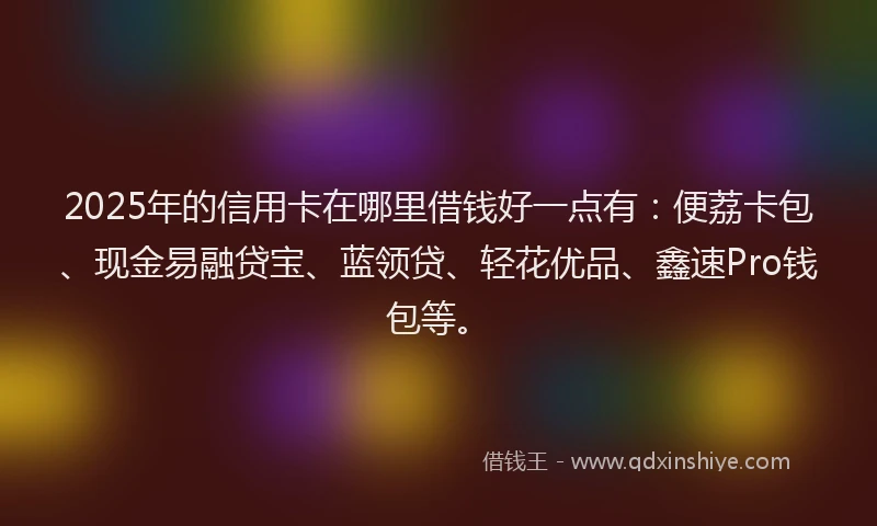 2025年的信用卡在哪里借钱好一点有：便荔卡包、现金易融贷宝、蓝领贷、轻花优品、鑫速Pro钱包等。
