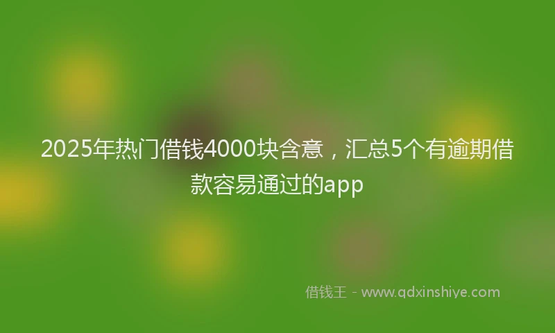 2025年热门借钱4000块含意，汇总5个有逾期借款容易通过的app