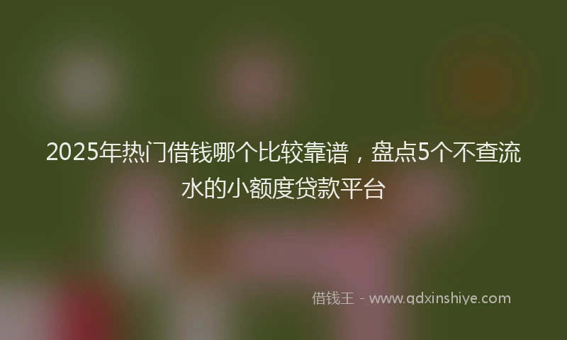 2025年热门借钱哪个比较靠谱，盘点5个不查流水的小额度贷款平台